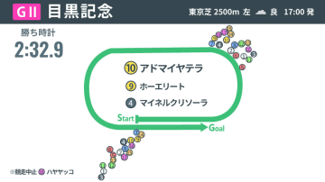 【目黒記念回顧】東京巧者＆晩成の血を持つアドマイヤテラが重賞初V、「非根幹距離の鬼」ホーエリートも底力