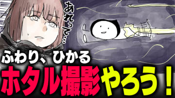 週刊アンケート：【質問】ホタル撮ったことある？
