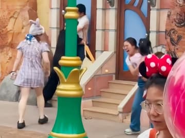 上海ディズニーランドで客同士がつかみ合い、映像が拡散「すごいなこれ」―中国