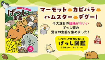 マーモット、カピバラ、ハムスター、デグー！今大注目の超絶かわいいげっし類の驚きの生態を集めました！『いつだって全力かわいい げっし図鑑』好評発売中!!