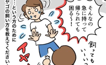小学校のプール清掃で、ヤゴを持ち帰ってきた!?　どうやって飼育したらいい？【マンガでわかる！おっかなびっくり飼育】