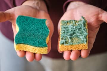 食器用スポンジはいつ交換する？頻度を間違えると雑菌の温床に