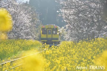 運休が続くいすみ鉄道、復旧の見通しを発表　一部の区間は2027年秋頃をまでの運行再開を目指す