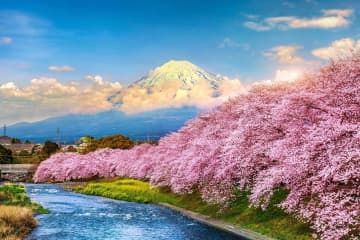 二葉亭四迷の『旅日記』あらすじ紹介。旅路の情景と友情が織りなす文学的叙述