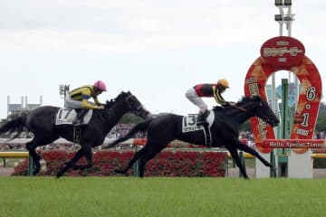 クロワデュノールVに隠された超異例の「19」　近年該当例なし、12年前のダービー馬と共通した偉業とは