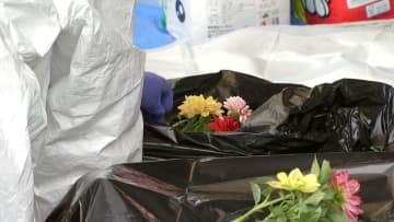 ネコ約100匹の死骸が保護活動行う女性宅で見つかる　多頭飼育崩壊で飼育しきれなくなったか…熊本市