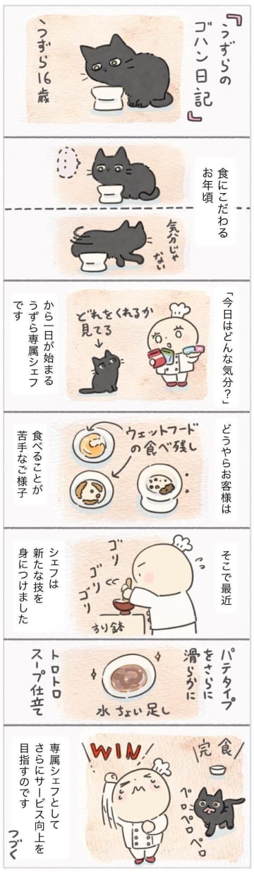シニア猫専属シェフの奮闘記！愛猫の食事を極める【連載】ねこ連れ草 334話め