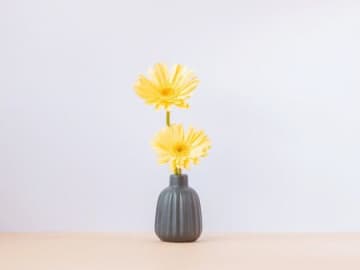 6月3日（火）今日は「何をやってもツキまくり！」のトリプルラッキーデー。絶対やったほうがいいことは？