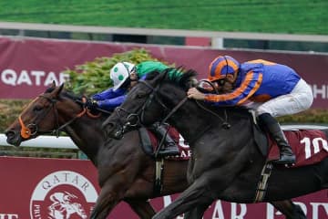日本ダービーから7時間半後、仏ダービーで見られた珍しいスポーツマンシップに感動の声「素敵すぎ」