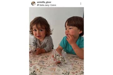 スイス生まれの男の子が「また作って」　夢中で食べた日本食とは