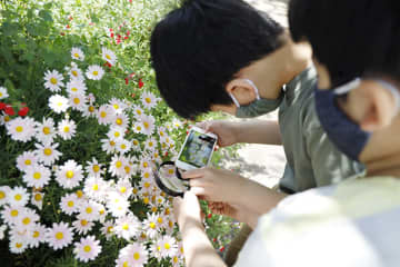 100円ショップの虫眼鏡やルーペを使って、「スマホカメラ」で撮るマクロな世界【ママカメラマンのスマホ写真術】