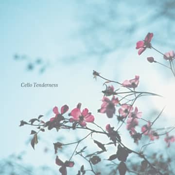 CDショップ「雨と休日」が贈る“心安らぐチェロの音色”を集めた『チェロ・テンダネス』がリリース