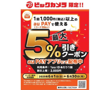 ビックカメラ、au PAYで店頭5％割引　ネットでは最大10％還元
