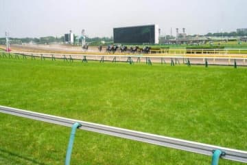 人気YouTuber、競馬でまた大勝ち　日本ダービーで当たった全額→目黒記念にぶっこみ545万円「とにかく来そうな気が」