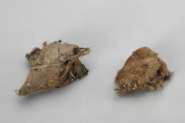 900年前の中国最古のちまきはどんな味？―中国メディア