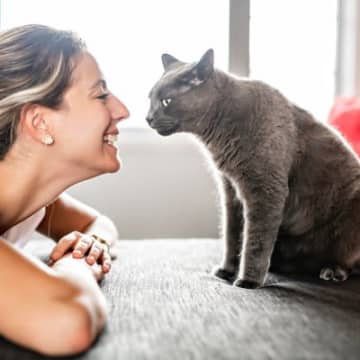 猫好きが思わず真似したくなる『猫のうらやましいところ』3つ　身体能力や性格…身につけたら生きやすくなるかも？
