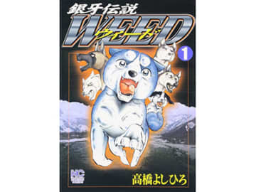 揃うとまさに壮観…！高橋よしひろ氏の名作「銀牙伝説」シリーズが伊勢原書店秦野店に大量入荷！