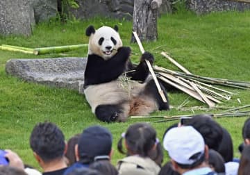 中国、パンダ貸与「重視」　李首相、対米へ協力訴え