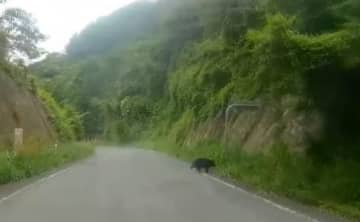 【速報】大子町でツキノワグマ目撃　周辺自治体で見回り強化　茨城