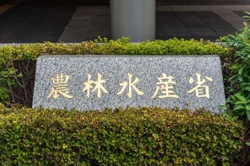 農林水産省がコメの平均価格が値下がったと発表 しかし実際に下がった価格にコメント殺到「いやいや誤差でしょ。これで下がったってよく言えるな…」「これってこのままJA通してたらずっと高いままだったってことじゃん」