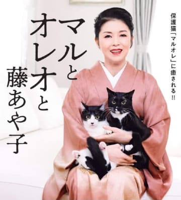 「めでたく6歳になりました」藤あや子、愛猫の成長ビフォーアフターを公開→「立派に育ったね」「何時までも元気でいてね」