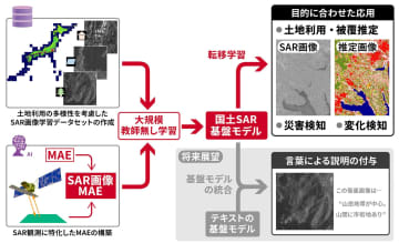 だいち2号搭載レーダーで国土特化の「基盤モデル」構築–SAR画像の利用拡大に期待
