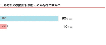 猫は日向ぼっこが好き？　日に当たるメリットを獣医師に聞いた