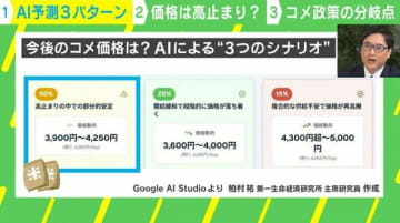 「価格が再高騰」？ AIがコメ価格の“3つのシナリオ”を予測