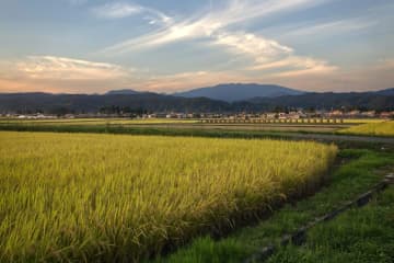 コメ増産なくして景気浮揚なし？令和の米騒動が示す日本の岐路