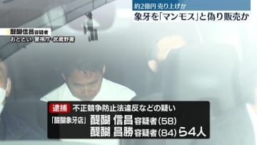 象牙を「マンモス」の牙などと偽り販売した疑い、男女4人逮捕　約2億円売り上げか