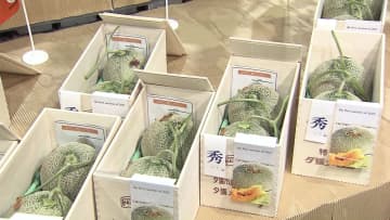 【直近10年で2番目の安値】初夏の味覚夕張メロン初競り！今年の最高値は2玉で100万＿2024年の300万から大幅ダウン「例年より落ち着いた雰囲気」世相を映すメロンの初競りを取材！