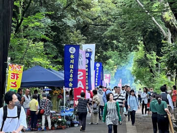 【大宮】参道で「氷川マルシェ」＆夜は「氷川 神ほたる鑑賞会」：6/7(土)・8(日)