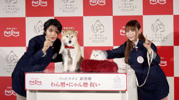 【動画】妊娠中の中川翔子、ふっくらお腹で猫愛爆発　高２寺田心も犬愛が溢れ声が高くなる