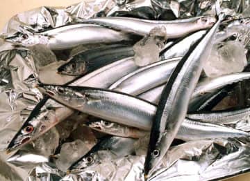 5つの栄養素は単体より複数組み合わせて取ることが大事【骨を強くする食事】#2