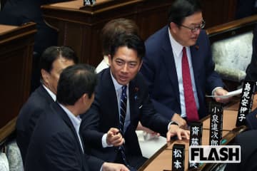 麻生・岸田がたくらむ「小泉進次郎首相」誕生の現実味…“小泉劇場” 再来で狙う自民党の “復権” シナリオ