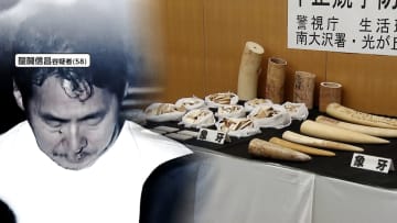 家族4人で年間約1億円荒稼ぎ「マンモスの牙」と偽り取引規制ある象牙を販売か…醍醐信昌容疑者（58）ら逮捕　「たばこポイ捨てレベルと思っていた」　埼玉
