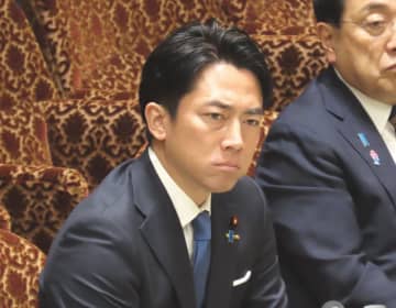 小泉進次郎農水相　政府備蓄米を酒やみそなどの加工向け放出検討の理由