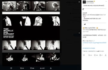 THEE MICHELLE GUN ELEPHANT、BLANKEY JET CITY、フジファブリック……ラストライブ映像化で甦る熱狂