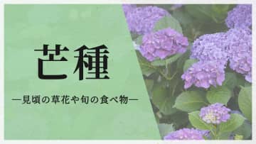 今日は二十四節気の「芒種」　この時期が見頃の草花や旬の食べ物は？