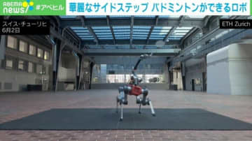 4足歩行AIロボットが華麗なサイドステップ！？ 正確なプレイでバドミントンをする姿に開発者「さまざまなタスクに応用できる」 スイス