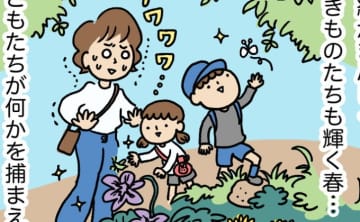 虫は苦手！だけど、子どもに「アリさん飼いたい～！」って言われたらどうする？ おっかなびっくりママに贈るカンタン飼育法