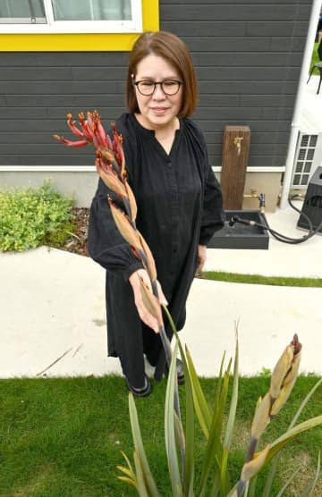 ニューサイラン開花　南国情緒演出　取手の三浦さん方、NZ産　茨城