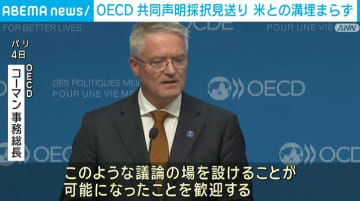 OECD、共同声明の採択見送り 米との溝埋まらず