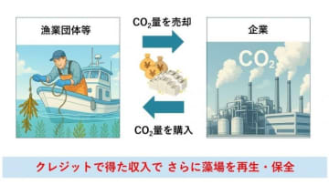 神奈川県、水中ドローン・AIによるブルーカーボン測定方法のモデル事業を開始