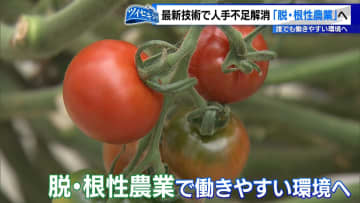 止まらない農家の減少　東京では30年間で半分以下に減少