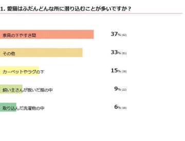 【調査】愛猫はどんな所に潜り込むことが多い？　もぐりこむ理由を獣医師が解説！