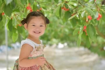 さくらんぼ！ブルーベリー！梅！お芋ほり！【6月に楽しめる味覚狩りスポット８選】旬のおいしさ味わおう！