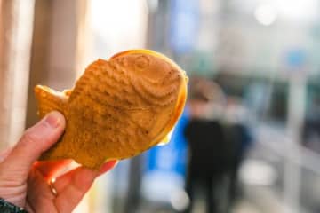 本格派！こだわりの「たい焼1丁焼き」にチャレンジ！【天然☆たい焼き焼いてみよう】ウッディパル余呉