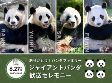 アドベンチャーワールド、ジャイアントパンダ4頭の返還前日に歓送セレモニー。3500名、7日12時申し込み開始