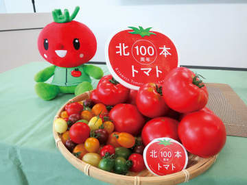 日本一に輝いたカレー　国産初のピューレは国内外で高評価…北本トマト、生産が100年目　埼玉・北本市、カフェで記念のパネル展　人気のフェスは11月15日に開催決まる